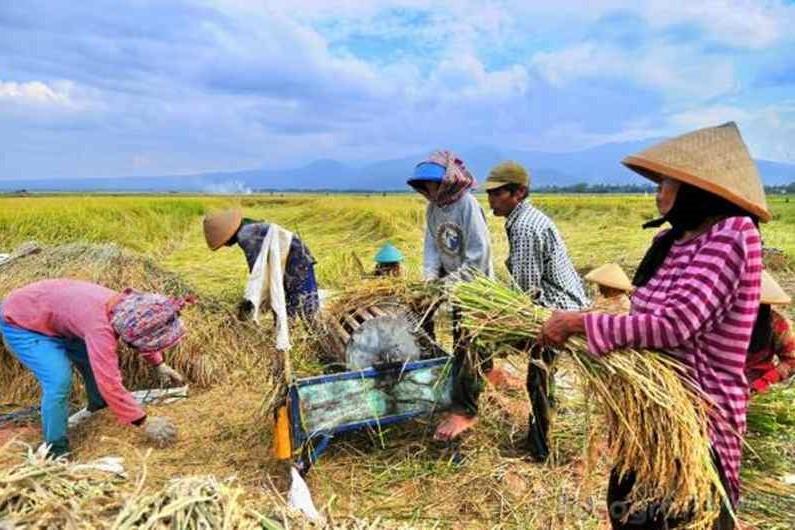Pengadaan Barang Jasa 2026: Rahasia PBJ yang Dijemput ke OPD